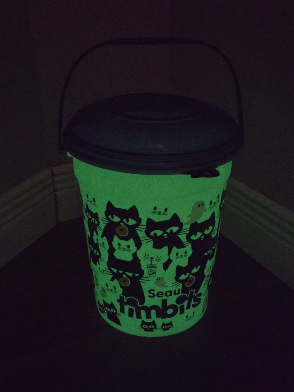 Timbits Bucket Pail Halloween Cats Glow in the Dark Tim Hortons - Picture 3 of 4